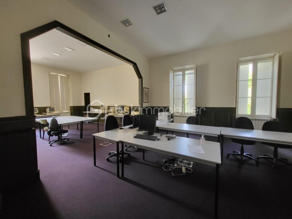 CHATEAU 32 PIECES+DEPENDANCES – PROPRIETE 9 HECTARES – NR pièces – 4 chambres – 919 m²