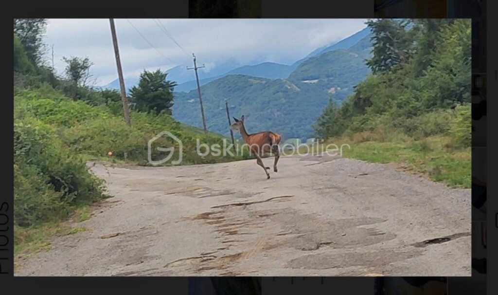 🦌 Sacoué 65370 – Las Aréousos : La bergerie qui murmure au vent 🦌 – 2 pièces – 1 chambre – 40 m²