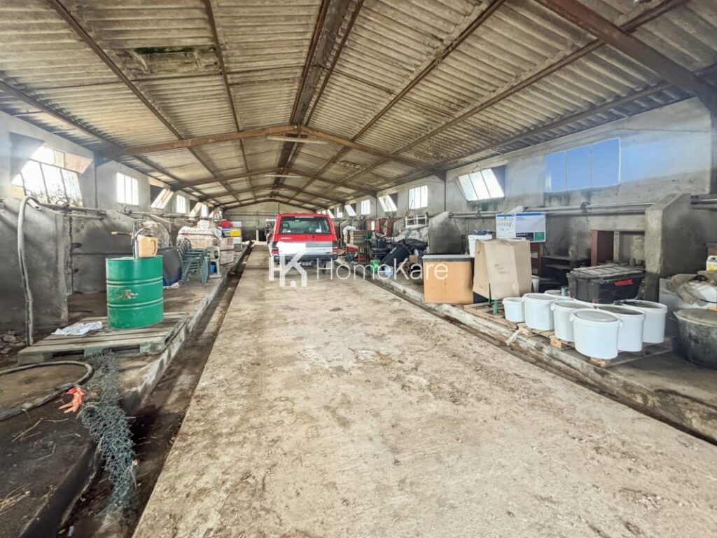 EXCLUSIVITÉ, UNE FERME AVEC DE NOMBREUSES POSSIBILITES – 7 pièces – 5 chambres – 190 m²