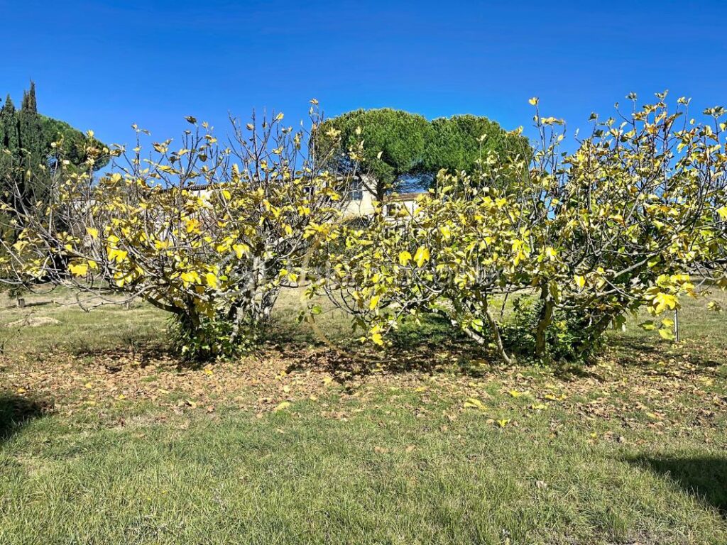 MAISON DE 120 M2 + GITE 90 m2 – 4 pièces – 2 chambres – 120 m²