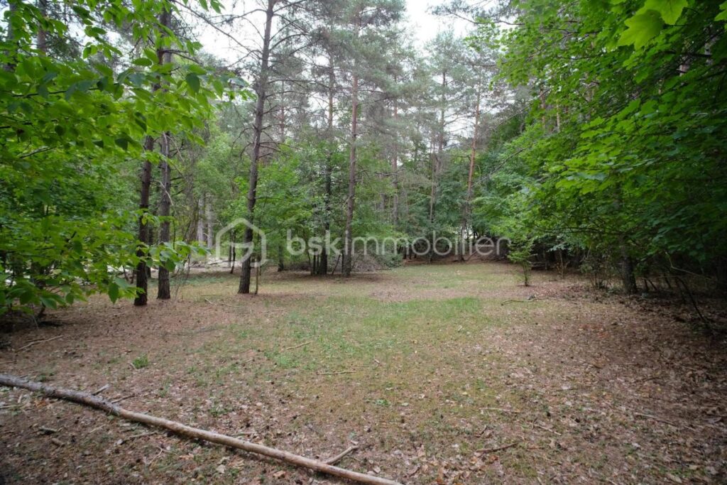 Chalet récent en bois au bord de la rivière sur un terrain plat de 5 460 m² – 3 pièces – 2 chambres – 70 m²