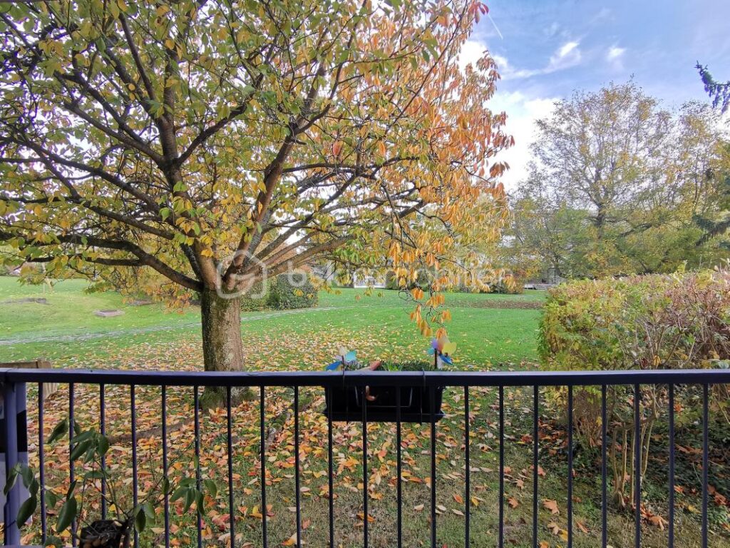 Appartement 3 pièces rénové avec grand balcon filant, sans vis-à-vis – 3 pièces – 2 chambres – 63 m²