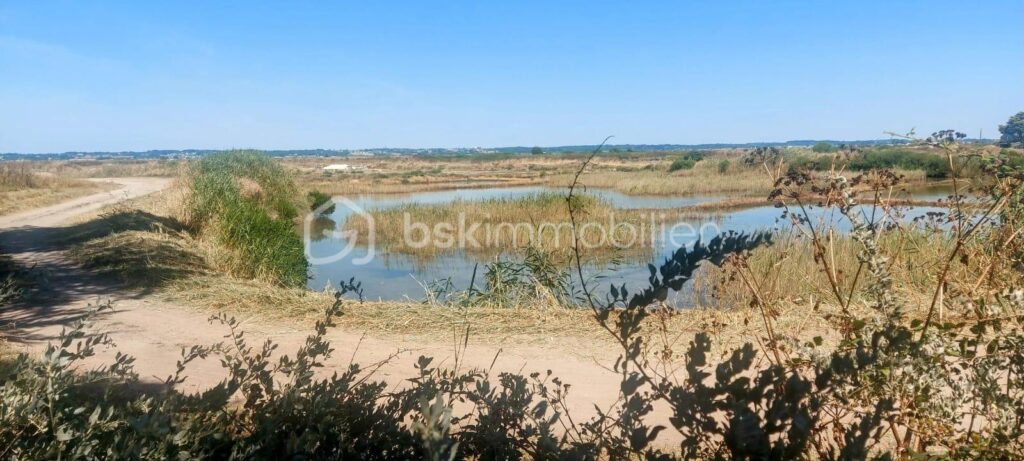 MAGNIFIQUE MAISON D’ARCHITECTE, AU CALME, AU PIED DES COMMERCES ET PROCHE GARE – 6 pièces – 3 chambres – 168 m²