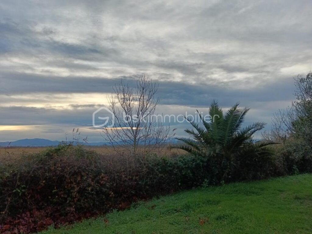 Appartement lumineux avec terrasse ensoleillée à Canet-en-Roussillon – 2 pièces – 1 chambre – 43 m²