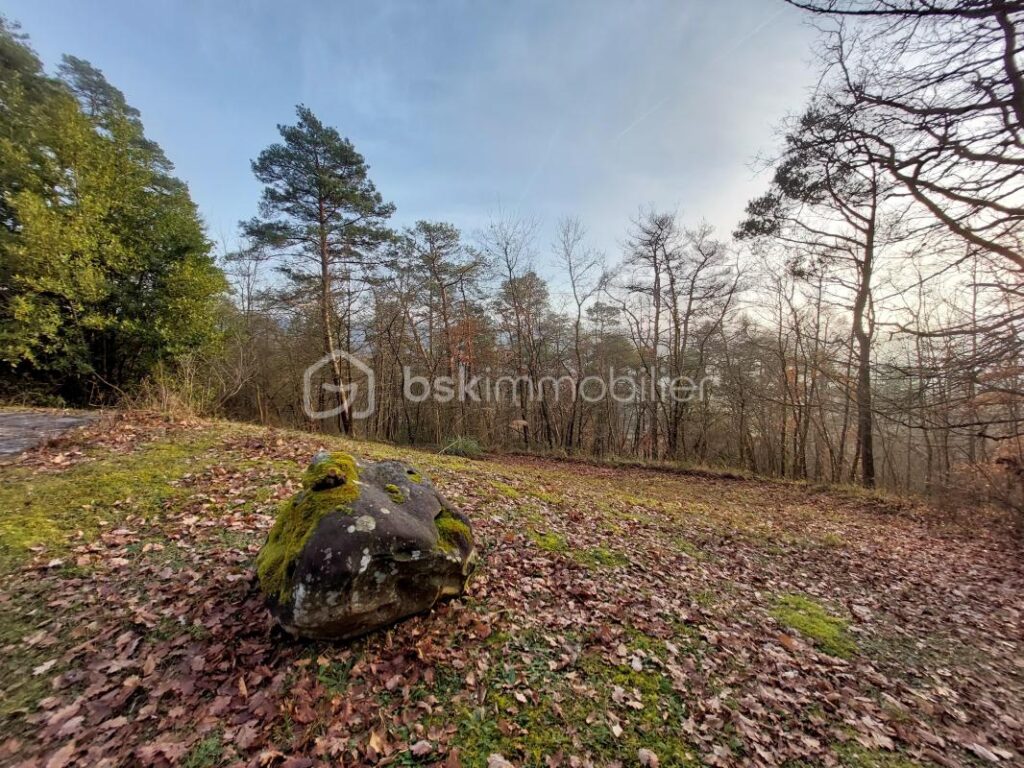 Maison d’architecte 262 m² 8 pièces – 8 pièces – 4 chambres – 262 m²