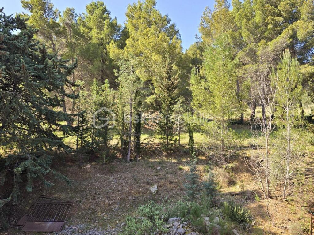 MAS de CARACTERE en Pierre – Havre de Paix avec Piscine et Oliveraie – 7 pièces – 5 chambres – 195 m²