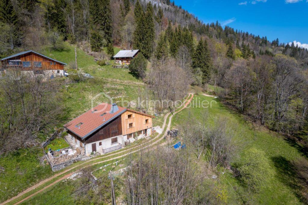 74130 – BRIZON – CHALET RÉNOVÉ 160M2 (144M2 HABITABLES) – TERRASSE, POTAGER – SUPERBE CADRE NATUREL – PROCHE DE LA VALLÉE DE L’ARVE – 6 pièces – 3 chambres – 144 m²