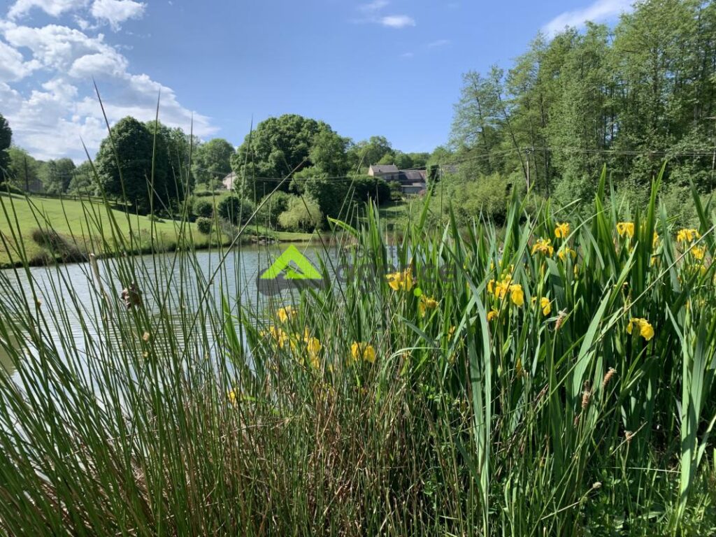 Magnifique Propriété – 270 m2 + Etang – 11 pièces – 8 chambres – 270 m²