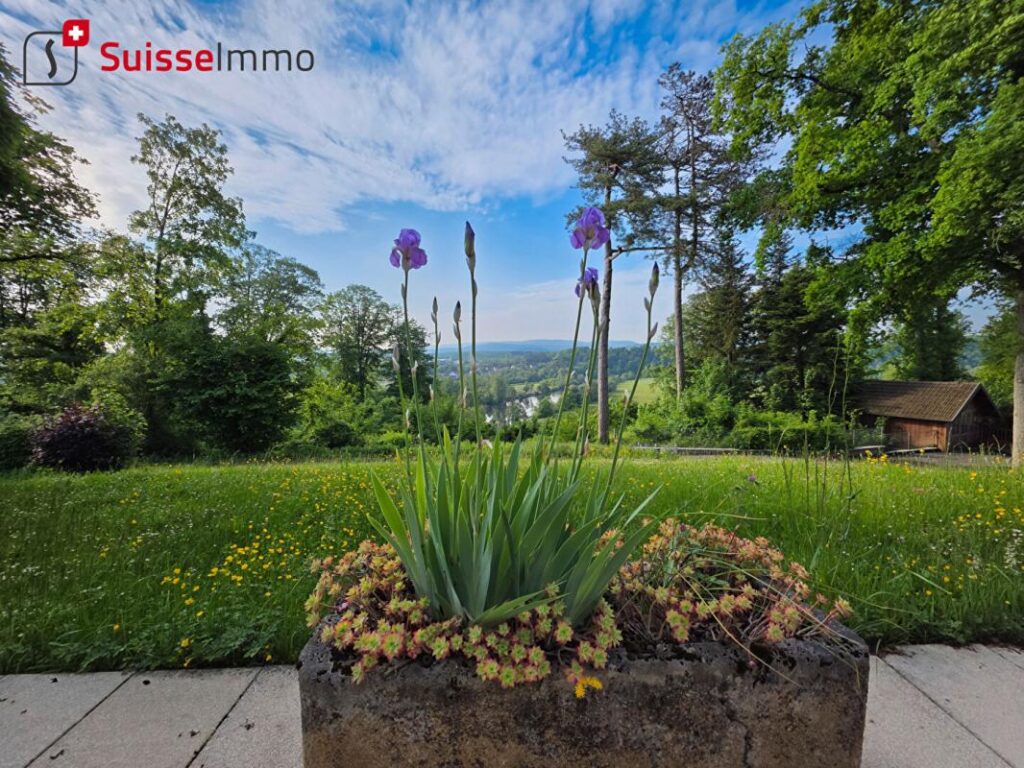 Pavillon d’architecte 261M2 – 11 pièces – 5 chambres – 261 m²