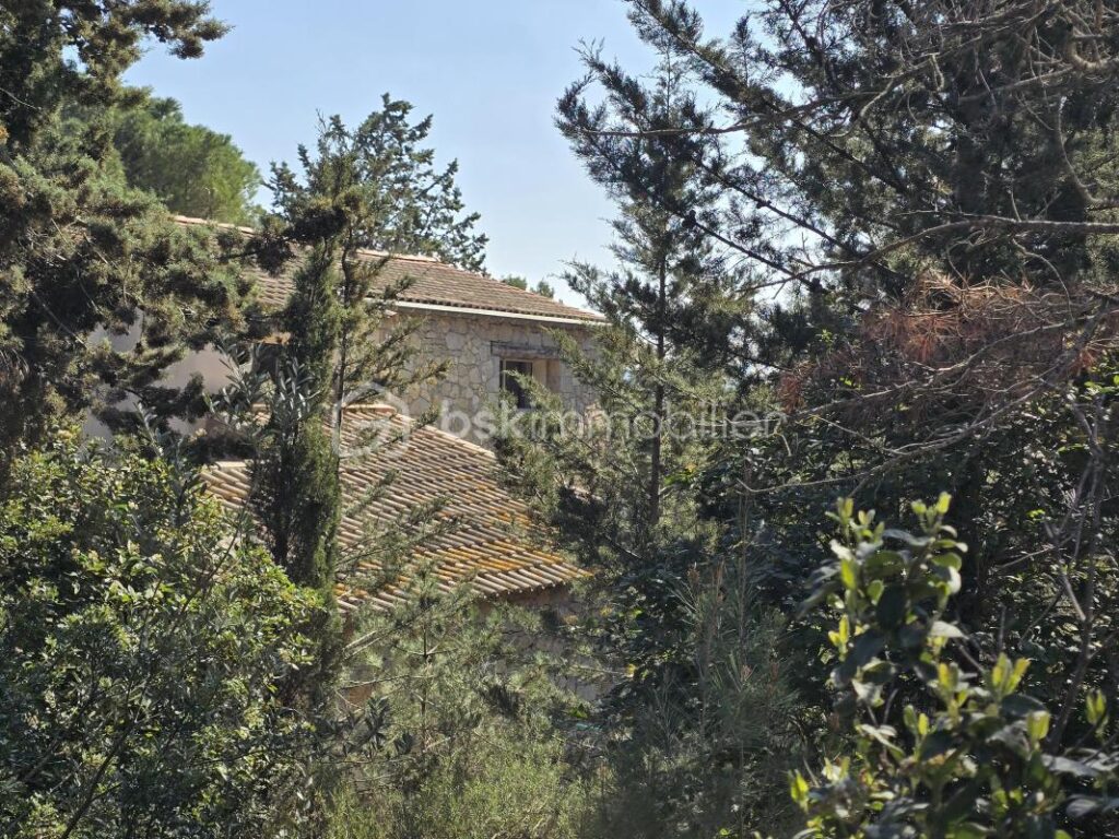 MAS de CARACTERE en Pierre – Havre de Paix avec Piscine et Oliveraie – 7 pièces – 5 chambres – 195 m²