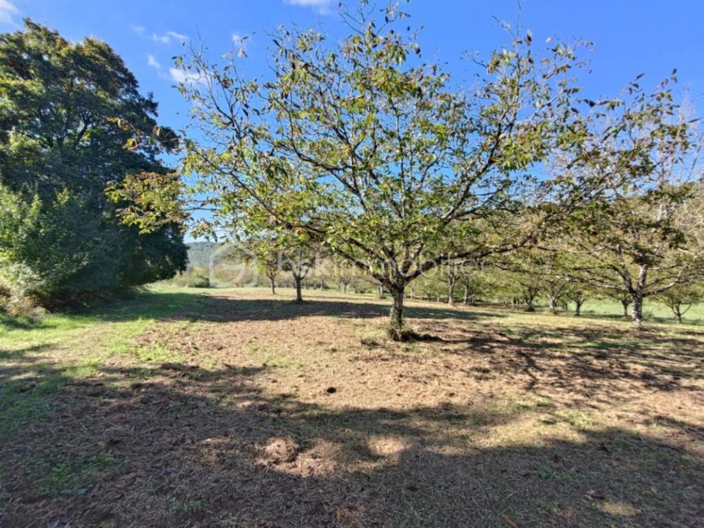 Ancienne et Magnifique Bâtisse en Pierres de 132 m2, située à Doissat 24170 – 6 pièces – 4 chambres – 132 m²