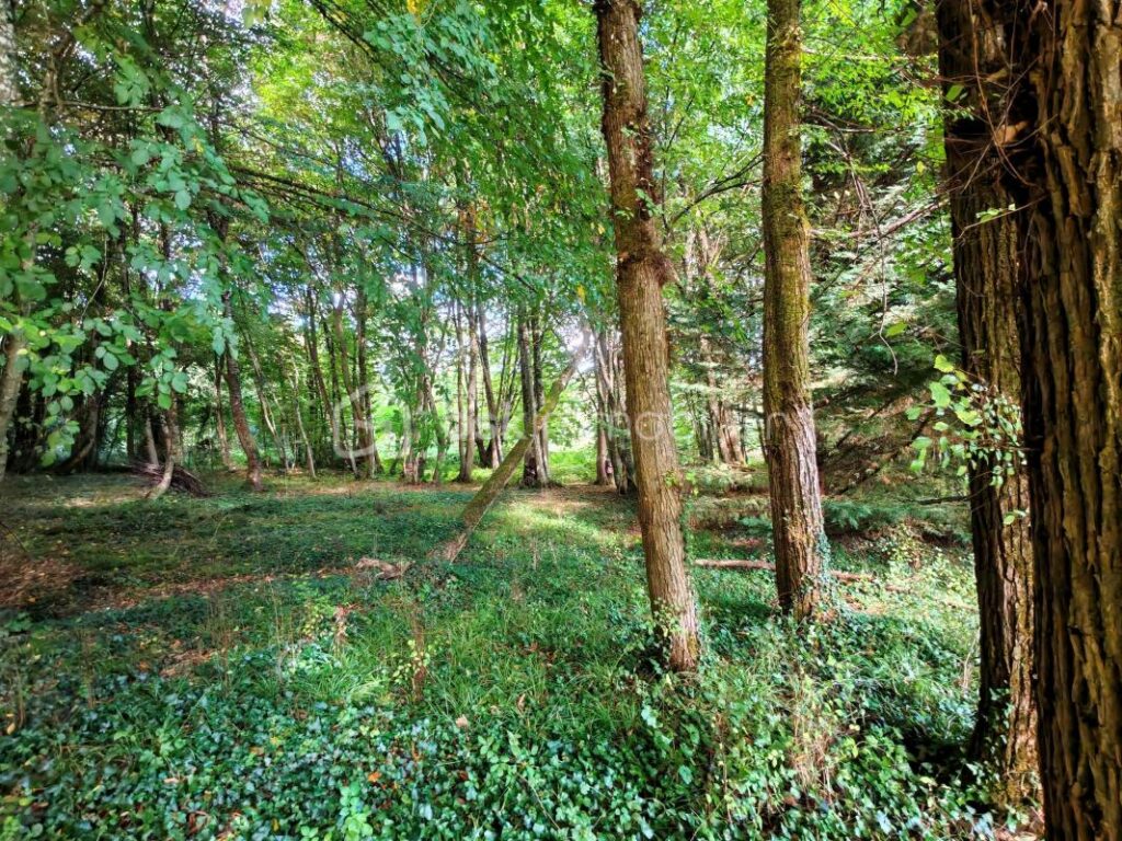 Spacieux pavillon au calme avec garage, sous-sol, jardin et bois – 11 pièces – 5 chambres – 416 m²
