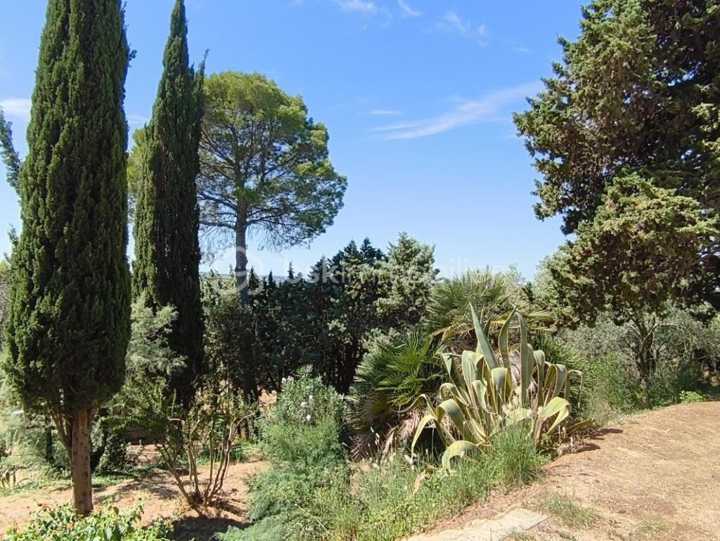 DOMAINE EN MEDITERRANEE – 8 pièces – 6 chambres – 245 m²