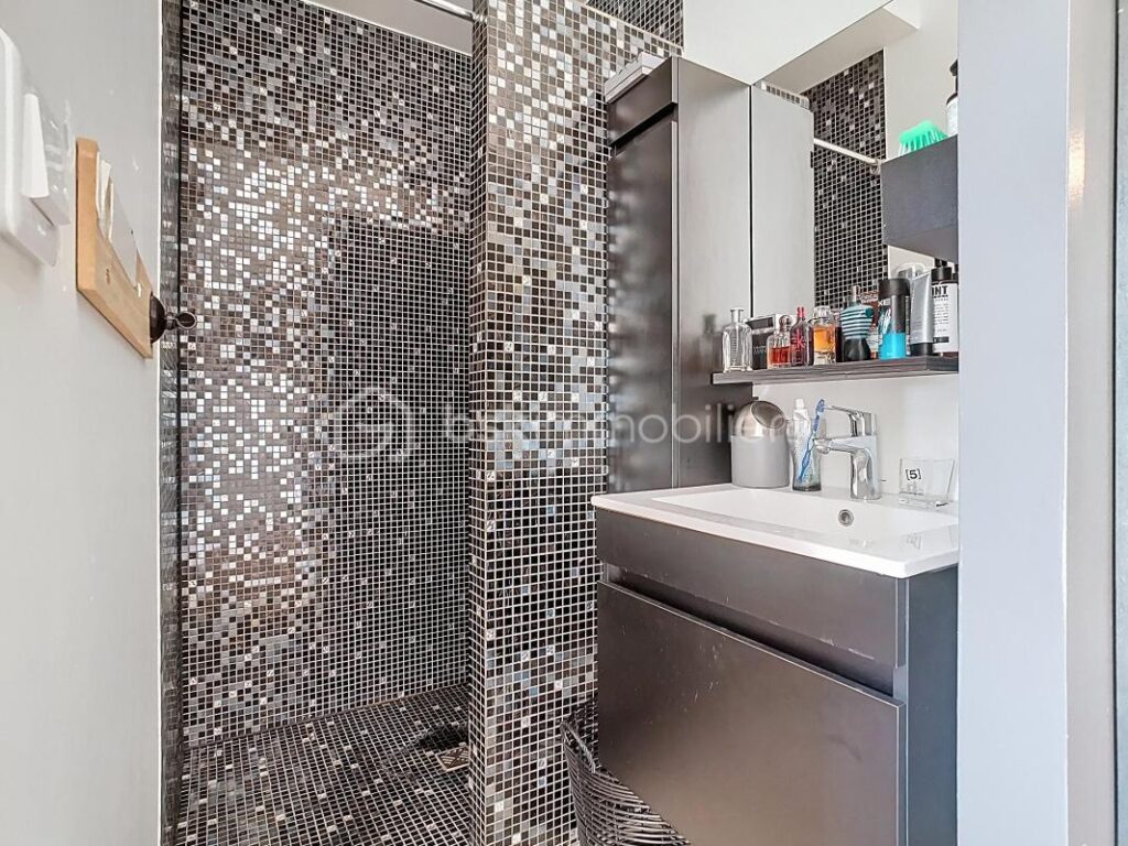 À VENDRE – Maison de prestige avec vue imprenable sur la Marne – Chalifert / Chessy – 8 pièces – 6 chambres – 310 m²