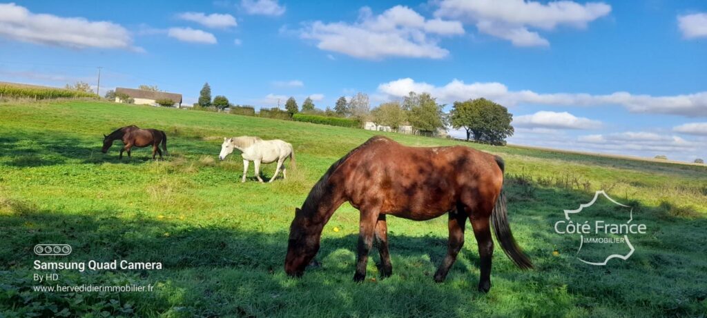Sarthe 72 domaine idéal gîte 2 Maisons avec vue exceptionnel – 10 pièces – 4 chambres – 160 m²