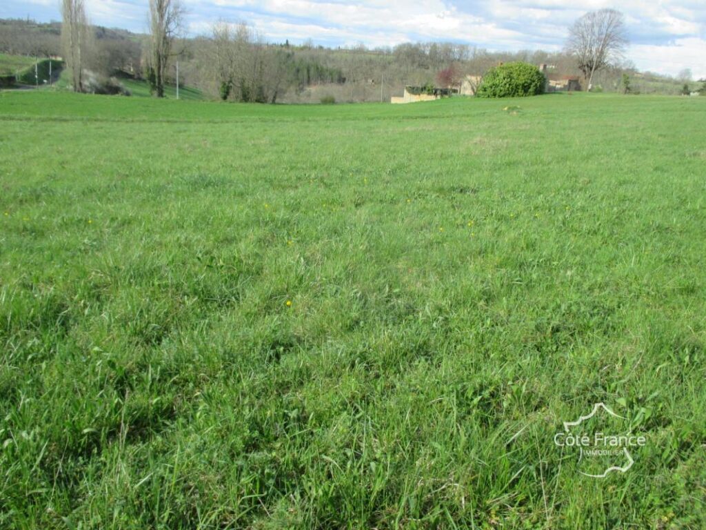 DORDOGNE- TERRAIN A BATIR- BELVES- 24170 – NR pièces – NR chambres – 3000 m²