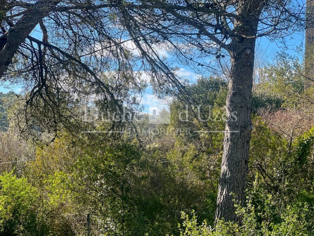 Terrain – NR pièces – NR chambres – 1090 m²