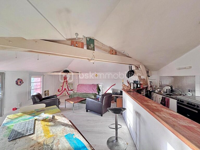 IMMEUBLE LOCATIF RABASTENS – 12 pièces – NR chambres – 274 m²