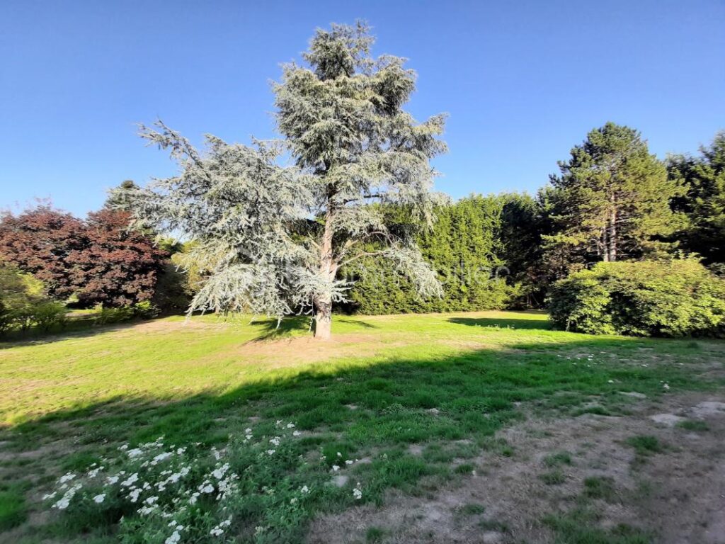 Terrain constructible de 2788 m² – Cognac-la-Forêt 87310 – NR pièces – NR chambres – 2788 m²