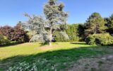 Terrain constructible de 2788 m² – Cognac-la-Forêt 87310 – NR pièces – NR chambres – 2788 m²