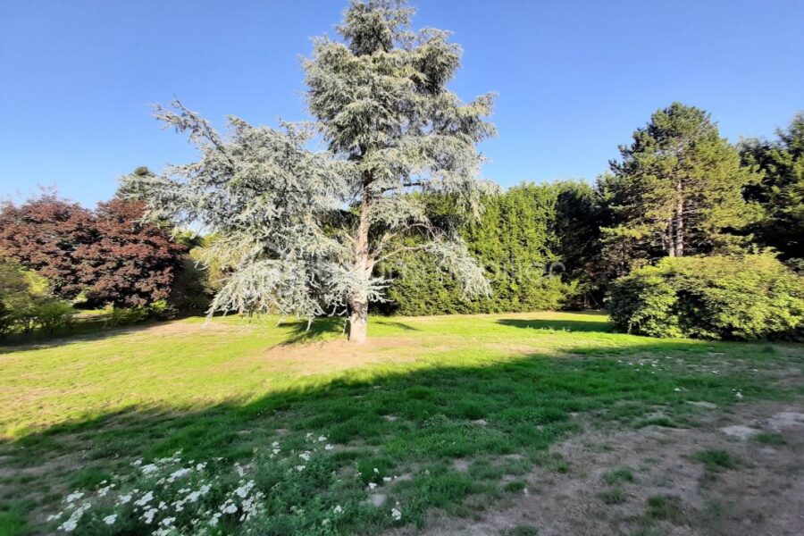 Terrain à vendre à Cognac la foret