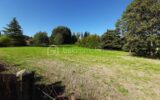 Terrain constructible de 4690 m² – Cognac-la-Forêt 87310 – NR pièces – NR chambres – 4690 m²