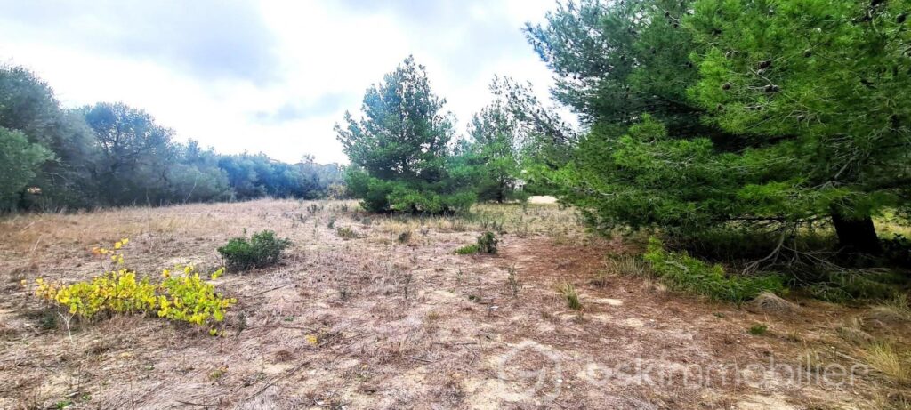 RARE- TERRAIN CONSTRUCTIBLE AVEC VUE++ – NR pièces – NR chambres – 1220 m²