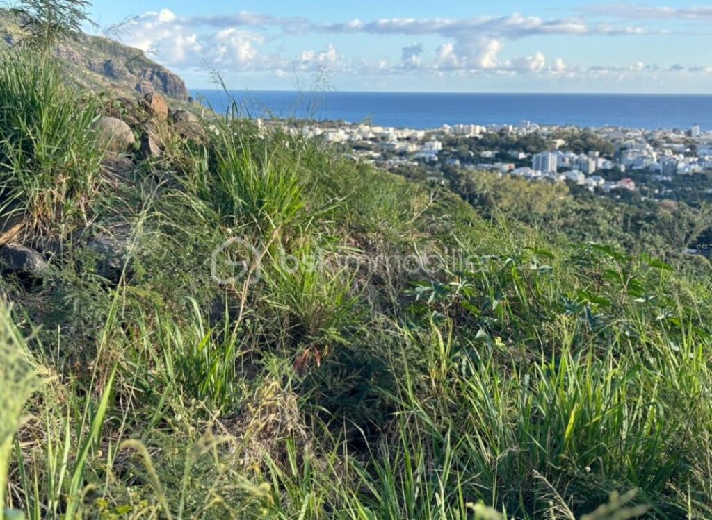 Terrain 516m² Colline des Camélias Saint-Denis – NR pièces – NR chambres – 516 m²
