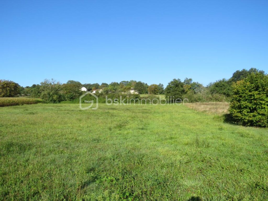 Terrain constructible de 6038 m² au calme vue dominante – NR pièces – NR chambres – 6038 m²