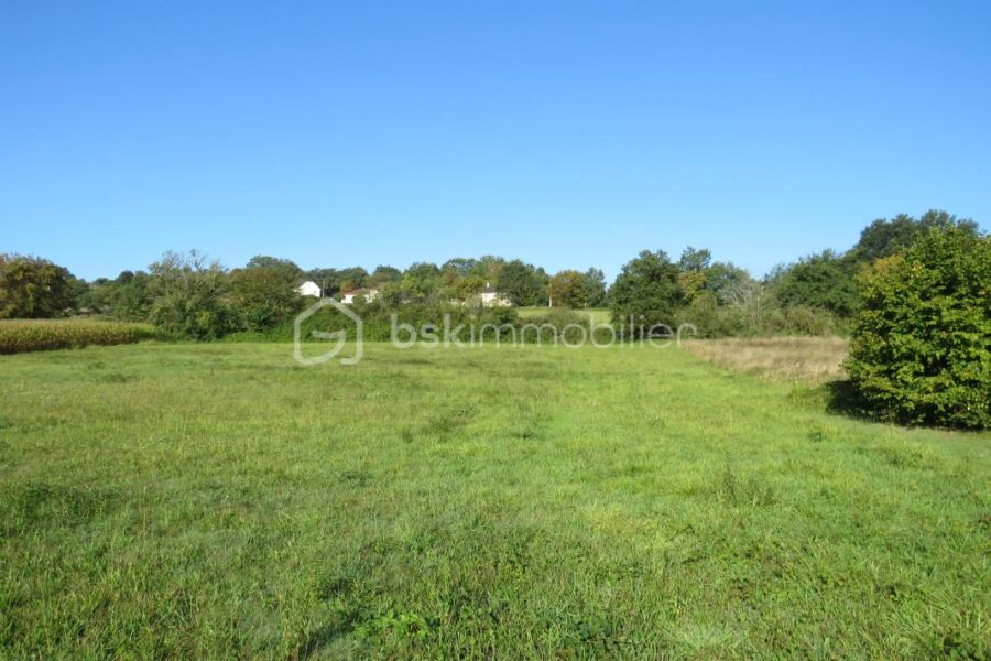 Terrain à vendre à Baliracq maumusson