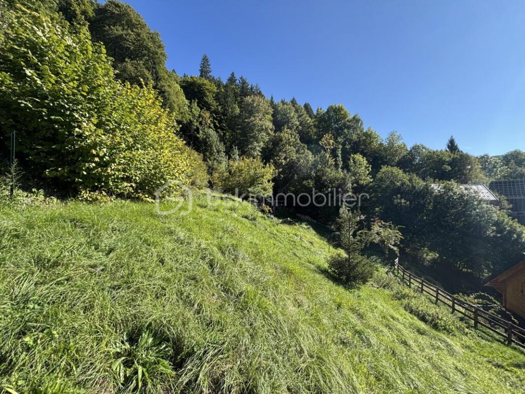 Terrain de 875m² non viabilisé libre de constructeur – AILLON-LE-JEUNE – NR pièces – NR chambres – 875 m²