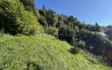 Terrain de 875m² non viabilisé libre de constructeur – AILLON-LE-JEUNE – NR pièces – NR chambres – 875 m²