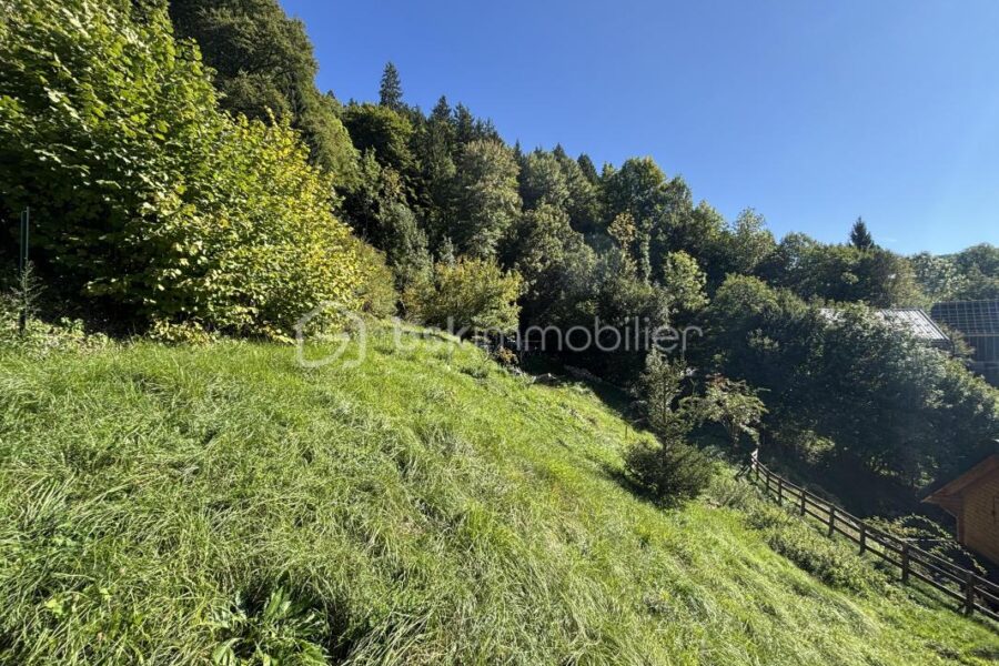 Terrain à vendre à Aillon le jeune