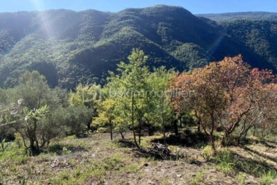 Terrain à vendre à Pierrefeu