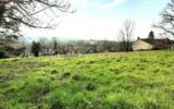 Terrain 2390 m² à Montrol-Sénard – NR pièces – NR chambres – 2390 m²