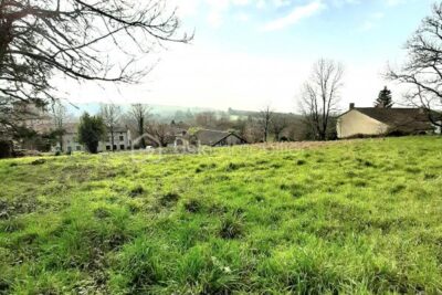 Terrain 2390 m² à Montrol-Sénard – NR pièces – NR chambres – 2390 m²