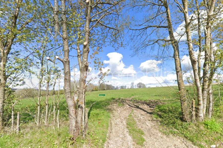 Terrain à vendre à Le plantis