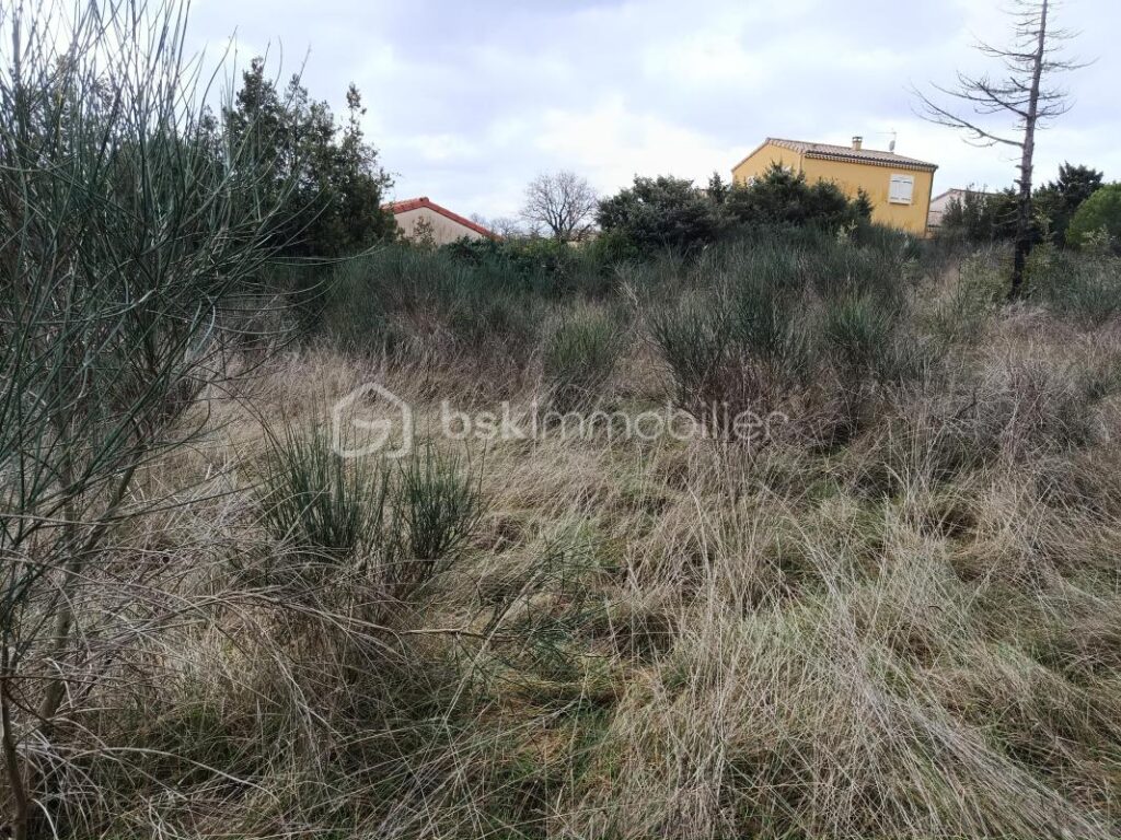 grand terrain avec très belle vue sur la vallée du Rhône – NR pièces – NR chambres – 2252 m²