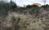 grand terrain avec très belle vue sur la vallée du Rhône – NR pièces – NR chambres – 2252 m²