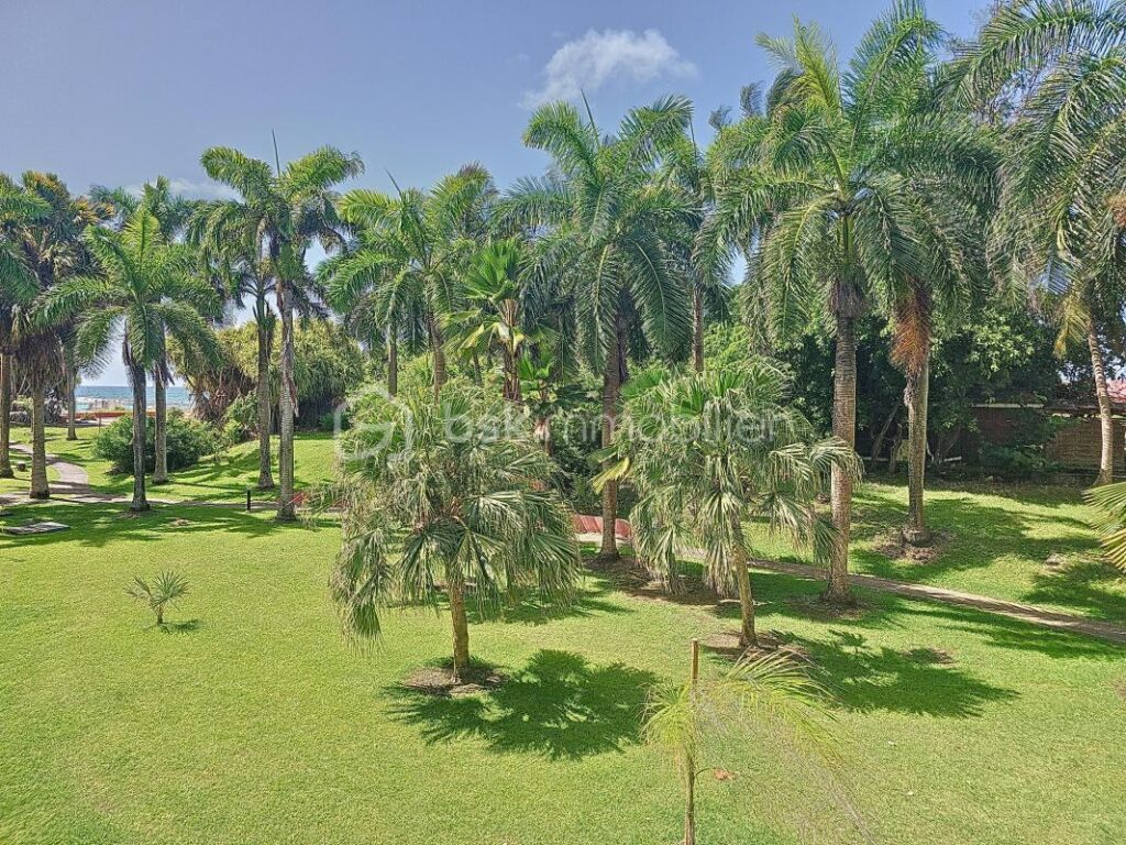 Appartement d’angle vue cocoteraie Anse des Rochers – 1 pièce – 1 chambre – 19 m²