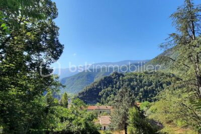 Un terrain, plusieurs projets – Roquestéron, vallée de l’Estéron – NR pièces – NR chambres – 1591 m²