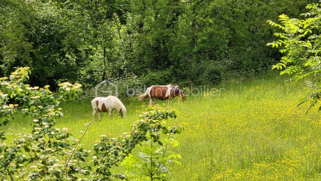 Maison 180 m² possibilité jusqu’à 6 chambres, panneaux photovoltaïques – 8 pièces – 5 chambres – 180 m²