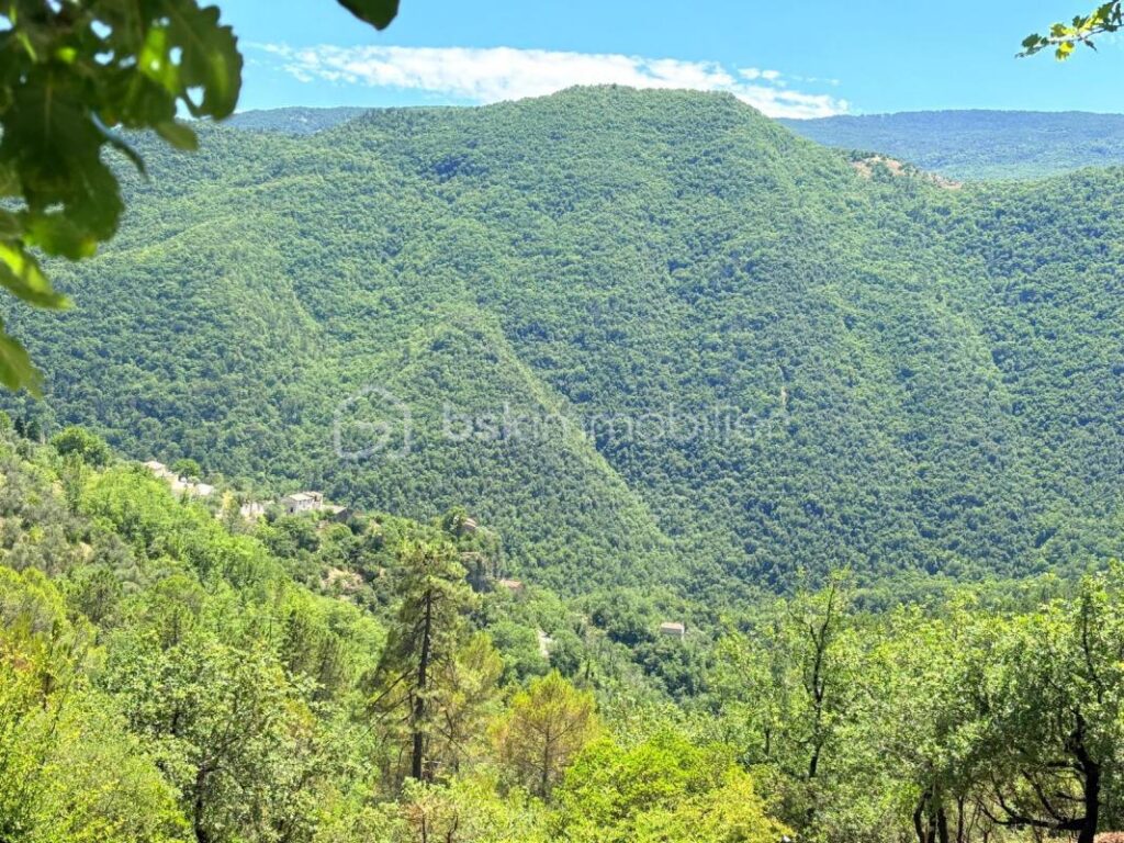 Terrain constructible de 1 605 m² – Vue panoramique – Pierrefeu (06910) À seulement 45 minutes de Nice, dans un cadre naturel privilégié – NR pièces – NR chambres – 1605 m²