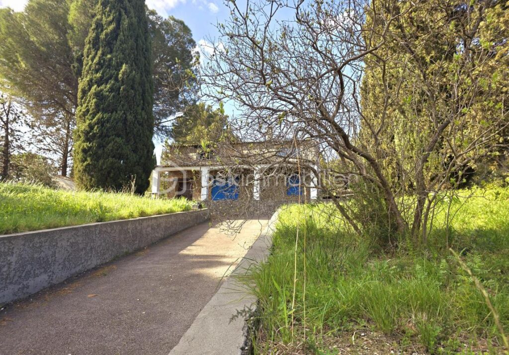 MAS de CARACTERE en Pierre – Havre de Paix avec Piscine et Oliveraie – 7 pièces – 5 chambres – 195 m²