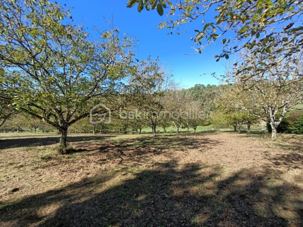 Ancienne et Magnifique Bâtisse en Pierres de 132 m2, située à Doissat 24170 – 6 pièces – 4 chambres – 132 m²