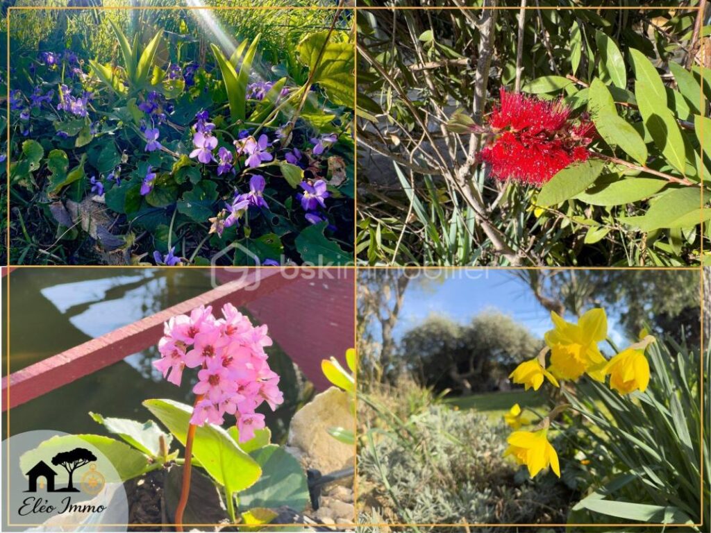 Bédarrides – Villa de 217 m² avec piscine, spa et parc paysager – 7 pièces – 4 chambres – 217 m²