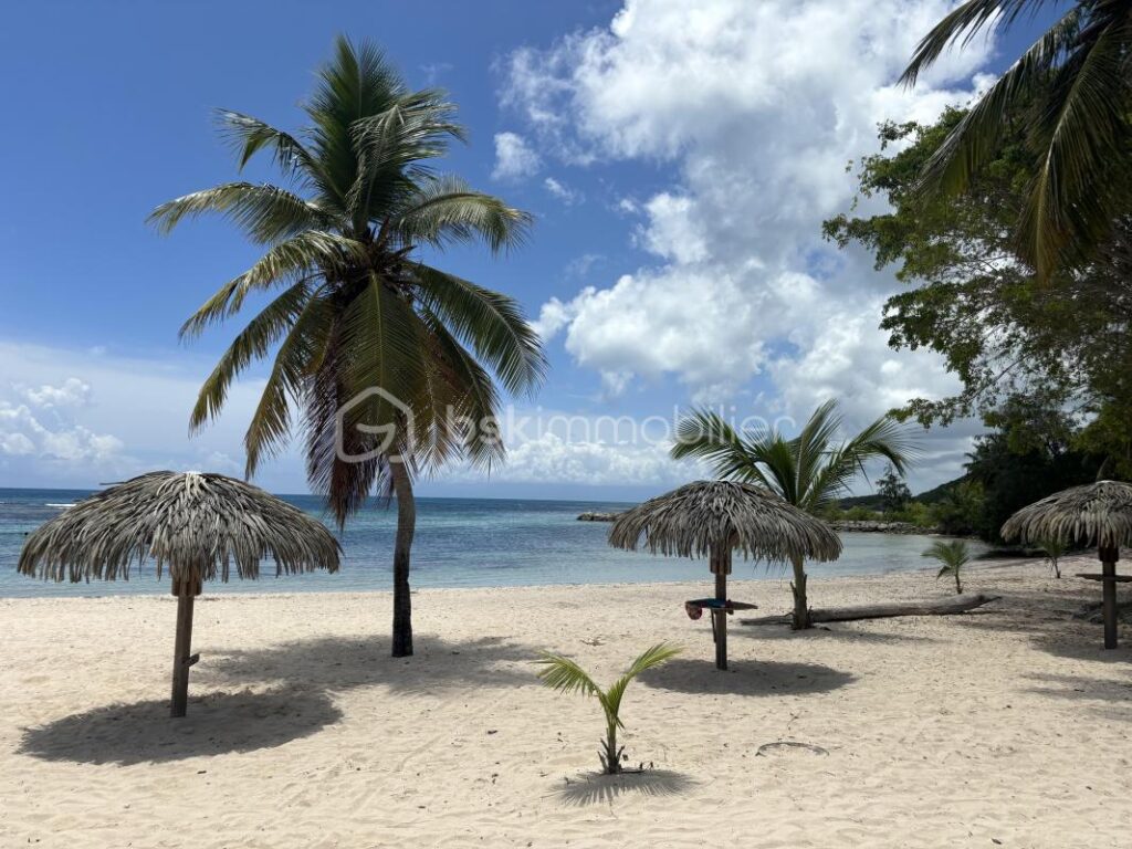 Quart de villa entièrement refait Anse des Rochers – 1 pièce – 1 chambre – 35 m²