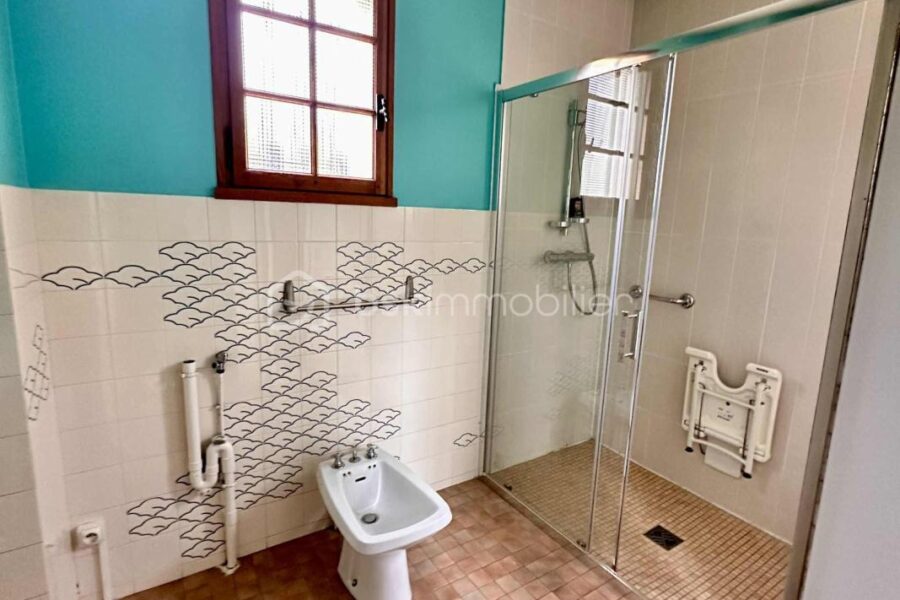 Maison à vendre à Roiffieux