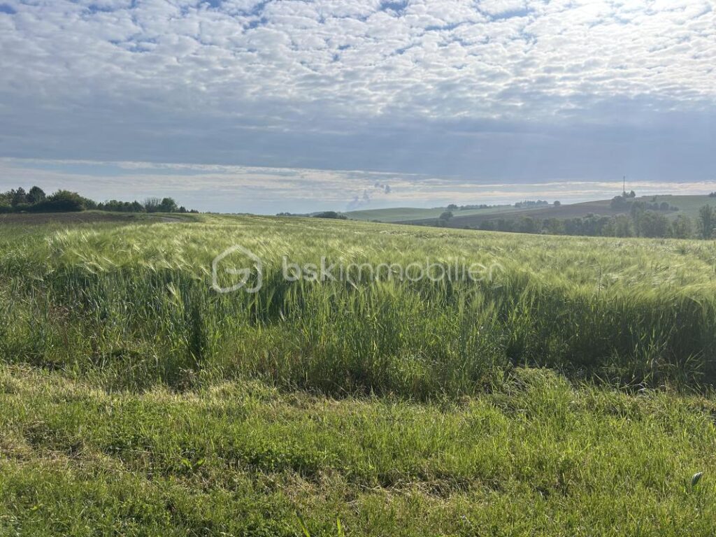 MAGNIFIQUE PROPRIETE EN PIERRES – VUE – CALME – GITES – DEPENDANCES – SOURCE – ETANG – NR pièces – NR chambres – 885 m²