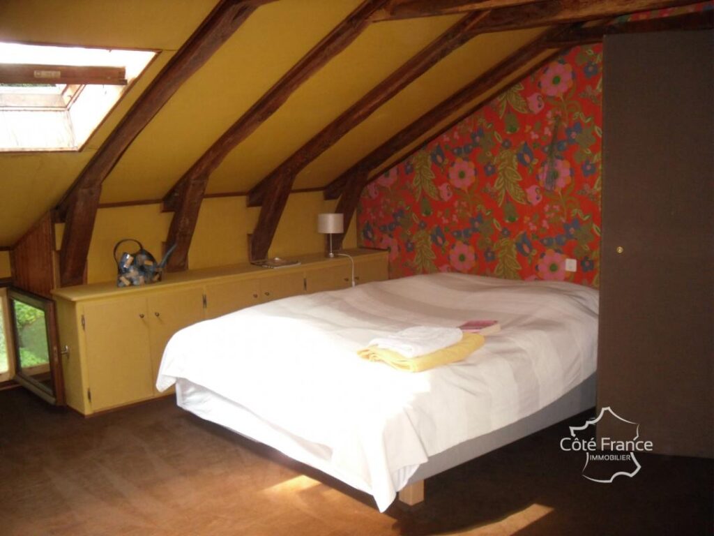 Ancien moulin avec droit d’eau et 2,2 hectares du terrain, C – 7 pièces – 4 chambres – 209 m²